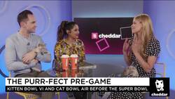 The Purrr-fect Super Bowl Alternative: Kittens! News Clip