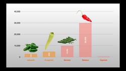 Pepper Comparison Scale 🌶️ | How HOT You Like It? 🌶️🌶️🌶️ Instructional Video