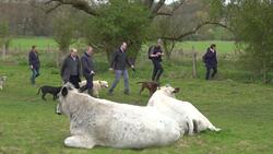 Sir Ed Davey calls for tighter regulation to stop the pumping of sewage into waterways News Clip