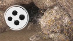 Boys rescued from Thai cave may face "cave disease" Instructional Video