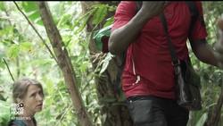 What Migrants Face As They Journey Through The Deadly Darien Gap News Clip