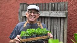 Portrait of Farmer Holding Plants Stock Footage