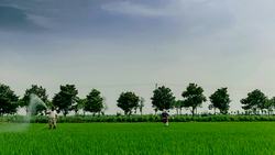 TED: The future of good food in China | Matilda Ho Instructional Video