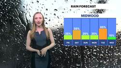 STORM WATCH: Heat, haze and a few storms today for Brooklyn News Clip