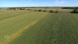 What’s in this Montreal suburb’s tap water? Study points to a cocktail of pesticides News Clip