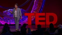TED: The end of Roe v. Wade -- and what comes next | Kathryn Kolbert Instructional Video