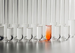 Equilibrium Instructional Video