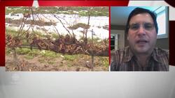 Ontario ice wine producers worry about mild weather News Clip