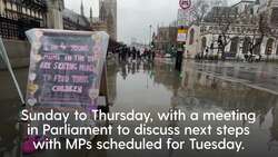 Mothers begin hunger strike at Parliament for parents who cannot feed children News Clip