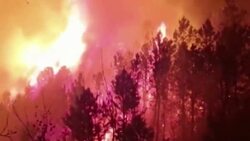 More than 100 springtime wildfires flare up across Spain News Clip