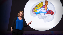 TED: How to hack your brain when you're in pain | Amy Baxter Instructional Video