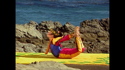 LIZARD, LOCUST, & FLAPPING FISH Instructional Video