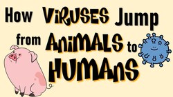 How Viruses Jump from Animals to Humans Instructional Video