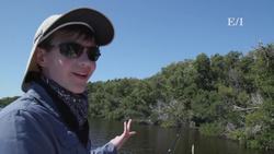 The ecosystem of the Florida Everglades Instructional Video