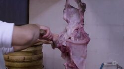 Isegen Instructional Video