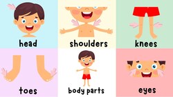 Head, Shoulders, Knees, And Toes | Body Part Practice | 4K Instructional Video