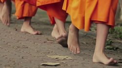 Get Involved and Have Fun: Making the Most of Festivals Instructional Video