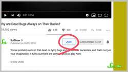 A New Thing on SciShow! Join Us! Instructional Video