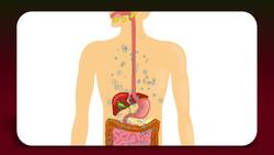 Nutrients for Energy Instructional Video