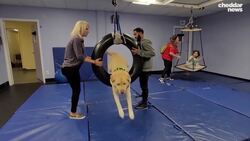 On A Positive Note: Flynn the Therapy Dogs Helps Kids With Disabilities News Clip
