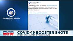 COVID-19: Europe's drug regulator backs booster shots for people with weak immunity News Clip