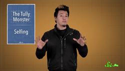 What is Selfing Instructional Video