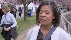 DC cherry blossoms draw visitors as blooms peak Instructional Video