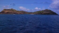 Caribbean Snorkeling in the Jacques Cousteau Reserve Instructional Video