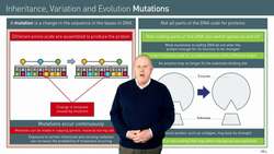 How Mutations Affect Proteins and Organisms Instructional Video