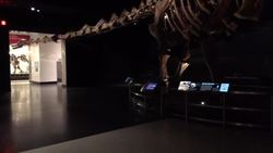 Discovering the Titanosaur: The Largest 3D Printed Skeleton Instructional Video