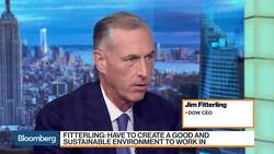 Businesses Must Create Good and Sustainable Work Environment, Says Dow CEO News Clip