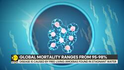 India's Kerala Reports 5th Death From Brain Fever, 11 People Undergoing Treatment for Disease News Clip