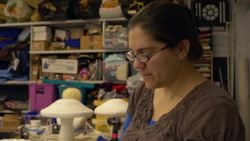 Nature + Performing Arts Instructional Video