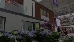 Home design is going green News Clip