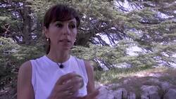 Reforestation initiative plants cedar saplings Instructional Video