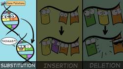Mutations (Updated) Instructional Video