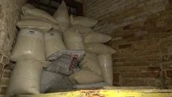 Flooding in St Mark's Basilica in Venice News Clip