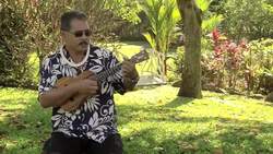 How to Buy a Ukulele Instructional Video