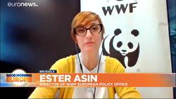 WWF: 'EU currently uses two times more than its ecosystems can renew' News Clip