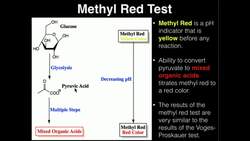 Microbiology: Methyl Red Test Instructional Video