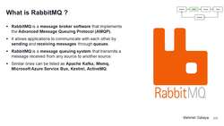 Design Microservices Architecture with Patterns and Principles - What Is RabbitMQ? Instructional Video
