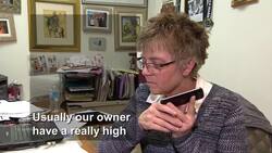 Alleged immigration scam uncovered in Vancouver News Clip