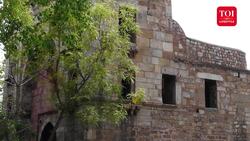 The Last Mughal Family Member Left to Struggle – Heartbreaking Story of Sultana Begum News Clip