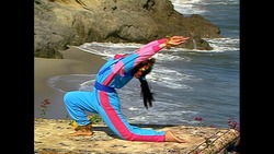 GALLOPING HORSE, ARCHING TIGER Instructional Video