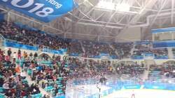 Winter Olympic Games 2018 - Hockey, Team USA, Dancing and Korea - Vlog 11 Instructional Video