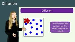 Diffusion: How Substances Move In and Out of Cells Instructional Video