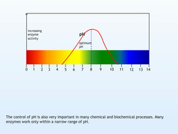 Buffer solutions Instructional Video