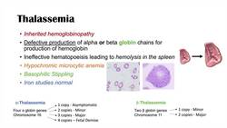 Microcytic Anemia & Causes (Iron Deficiency, Thalassemia, Anemia of Chronic Disease, Lead Poisoning) Instructional Video