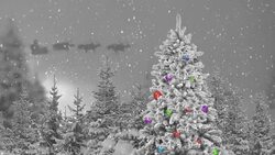 Christmas Tree in the forest and Santa Claus Stock Footage