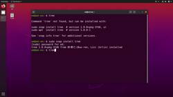 Practical Linux Command Line 2.0 - Extra: Use Snap on Ubuntu Instructional Video